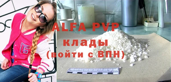ECSTASY Алзамай