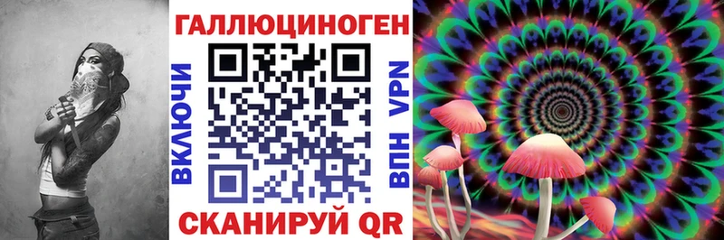 Псилоцибиновые грибы GOLDEN TEACHER  купить наркотик  Киреевск 