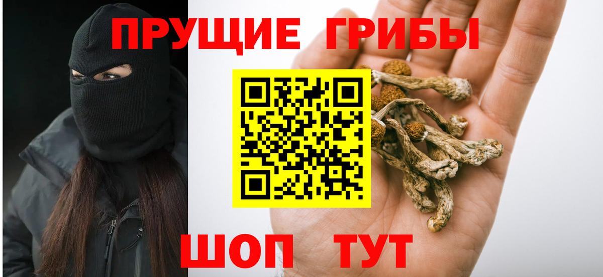 Псилоцибиновые грибы Psilocybine cubensis Киреевск